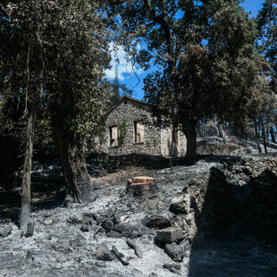 "Το Τατόι δεν είναι ένα παλάτι, είναι η καρδιά του Εθνικού Δρυμού και ανήκει σε όλους μας".