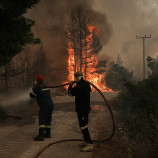 Πυρκαγιές από κεραυνούς σε Μάνδρα και Χαλκιδική- Συνεχίζεται η μάχη σε Εύβοια, Ηλεία, Αρκαδία και Λακωνία