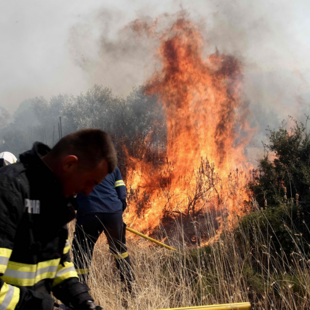 Σε ύφεση η φωτιά στα Βίλια - Τριάντα μία δασικές πυρκαγιές το τελευταίο 24ωρο σε όλη τη χώρα