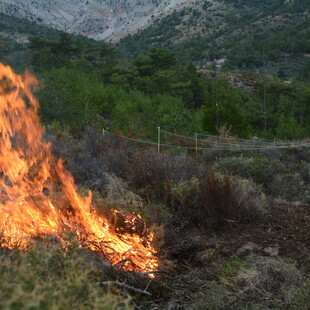 Φωτιά για την πρόληψη πυρκαγιάς: Πρόβα τζενεράλε για την πρωτοποριακή μέθοδο και στην Ελλάδα
