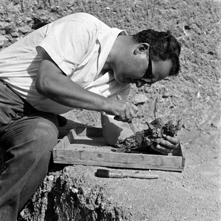 Πέθανε ο κορυφαίος Κύπριος αρχαιολόγος Βάσος Καραγιώργης, ο ανασκαφέας της Αρχαίας Σαλαμίνας