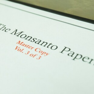Κινέζος επιστήμονας ομολόγησε ότι έκλεψε εμπορικά μυστικά της από την Monsanto