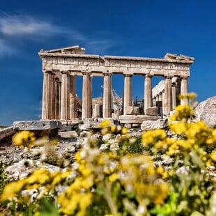 Τα σπάνια φυτά και ζώα της Ακρόπολης 
