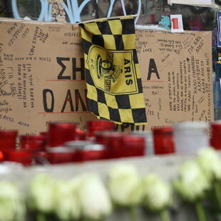 Δολοφονία Άλκη: «Στοχευμένα χτυπήματα, από ανθρώπους που ήξεραν», λέει η ιατροδικαστής
