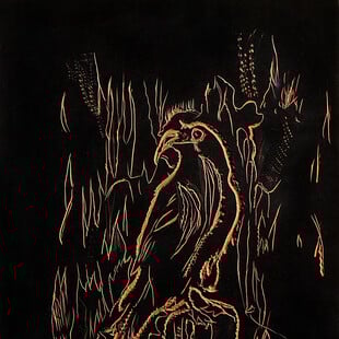 ΤΣΕΚ ΦΩΤΟ “Όταν ο Κόραξ λευκανθεί...” / ”When the Raven turns white...” | έκθεση της Κατερίνας Ζαχαροπούλου στην Crux Galerie
