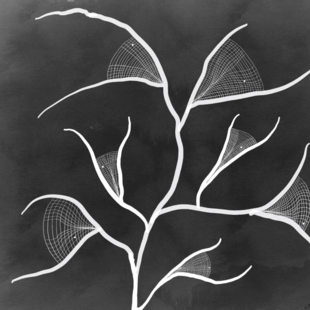 Ανθοπωλείον: Μια ομαδική έκθεση στο or.artspace