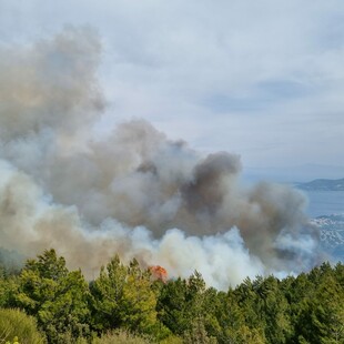 Φωτιά στη Σάμο- Επίγεια και εναέρια μέσα στην κατάσβεση