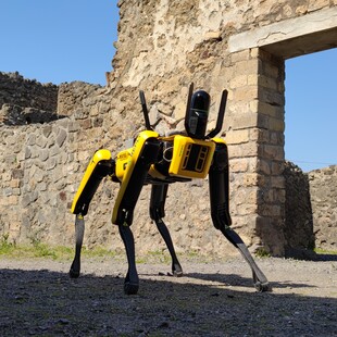 Επιστρατεύτηκε σκύλος- ρομπότ για τη διαχείριση της Πομπηίας