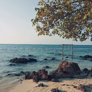 Νησί της Ιάβας: Ένας μυστηριώδης προορισμός, όπου η βανίλια της ορχιδέας ανθίζει μόνο για μια μέρα