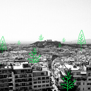 Τι σημαίνει το υπερβολικό κλάδεμα των δέντρων στην Αθήνα και τι επιπτώσεις θα έχει στο μικροκλίμα της;  