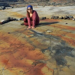 Χιλή: Εντυπωσιακό απολίθωμα ενός εγκύου ιχθυόσαυρου ανακάλυψαν οι επιστήμονες