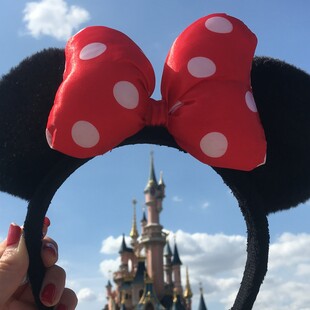 Γονάτισε για πρόταση γάμου στη Disneyland, αλλά υπάλληλος τα χάλασε όλα