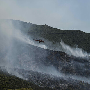 Φωτιά στον Πύργο: Ενισχύθηκαν οι πυροσβεστικές δυνάμεις- Καλύτερη η εικόνα της πυρκαγιάς στο Πόρτο Γερμενό