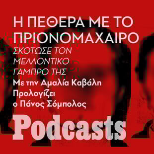 ΚΥΡΙΑΚΗ 17/07 - ΕΧΕΙ ΠΡΟΓΡΑΜΜΑΤΙΣΤΕΙ- Η πεθερά που κατακρεούργησε τον υποψήφιo γαμπρό της