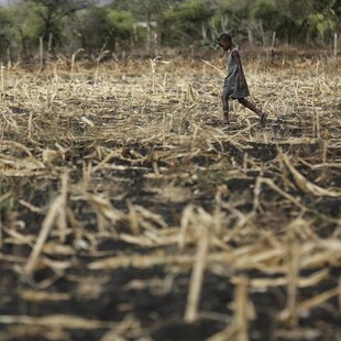 Κέρας της Αφρικής: 22 εκατ. άνθρωποι σε κίνδυνο λιμού εξαιτίας της ξηρασίας - Η προειδοποίηση του ΟΗΕ
