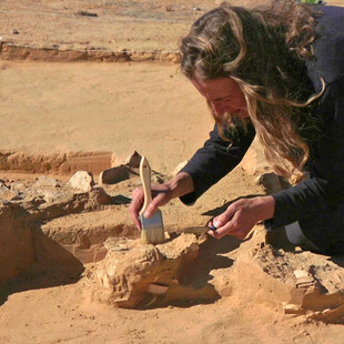 Ostrich eggs up to 7,500 years old found next to ancient fire pit in Israel