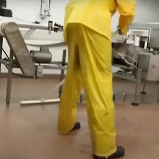 Έφηβοι σφαγεία 