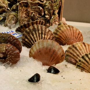 Καλάθι του νοικοκυριού στην Κεντρική Ιχθυαγορά Αθηνών- Οι τιμές