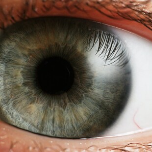 Σταγόνες ματιών που προλαμβάνουν τη μυωπία δημιουργήθηκαν από επιστήμονες