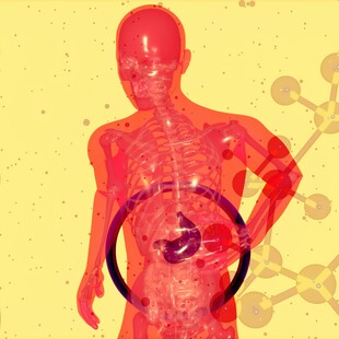 Παγκόσμια Ημέρα Νεφρού:1.000.000 Έλληνες εμφανίζουν προβλήματα 