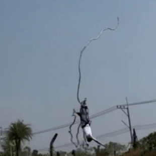 Η στιγμή που τουρίστας κάνει bungee jumping και κόβεται το σχοινί