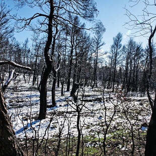 Καιρός: Χιόνια στην Πάρνηθα - Αισθητή η πτώση της θερμοκρασίας