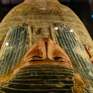 Οδοντικά σφραγίσματα, γυναίκες γιατροί και «ψευδομούμιες στην αρχαία Αίγυπτο