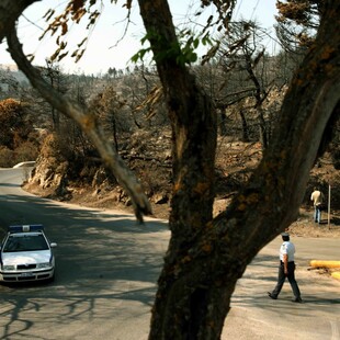 Χαλκιδική: Ελεύθεροι υπό όρους οι νεαροί που έδεσαν 16χρονο σε δέντρο