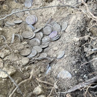 Κρυμμένος θησαυρός εντοπίστηκε στην Ιταλία – Ρωμαϊκά νομίσματα ηλικίας 2.000 ετών