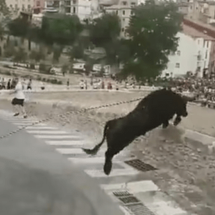 Ισπανία: Αγχωμένος ταύρος λόγω του πλήθους πηδάει πάνω από τοίχο και πέφτει στο κενό