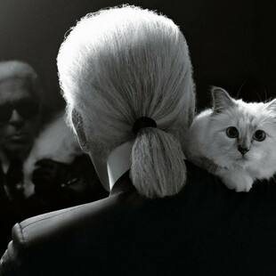 Choupette: Τι απέγινε το 1,5 εκατομμύριο δολάρια που κληρονόμησε η γάτα του Karl Lagerfeld