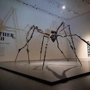 Louise Bourgeois: Γλυπτό αράχνη της πουλήθηκε σε τιμή ρεκόρ