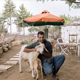 Οικισμός Παπανδρέου: Το άγνωστο χωριό της Αθήνας