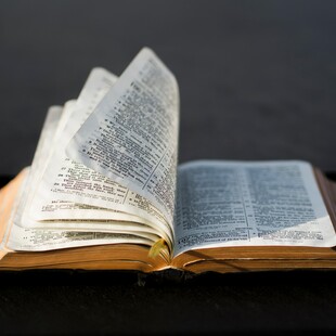 ΗΠΑ: Απαγορεύεται η Βίβλος σε δημοτικά σχολεία της Γιούτα λόγω «χυδαιότητας και βίας»