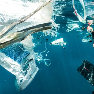 Παγκόσμια ημέρα περιβάλλοντος 2023: Άμεση ανάγκη συμφωνίας για την ρύπανση από πλαστικά μέχρι το 2024 