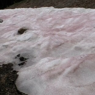 Γιατί το χιόνι έκανε τα βουνά της Γιούτα ροζ
