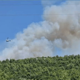 Φωτιά στον Ωρωπό: Ενισχύονται οι πυροσβεστικές δυνάμεις - Έκλεισαν δρόμοι