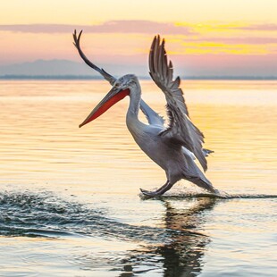 Birdwatching, σπηλαιοκαταδύσεις, μπάνιο σε καταρράκτες: Η άλλη πλευρά της Μεσσηνίας