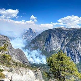 Ηλεκτρονικές «μύτες» βοηθούν στην ανίχνευση δασικών πυρκαγιών στη Γερμανία