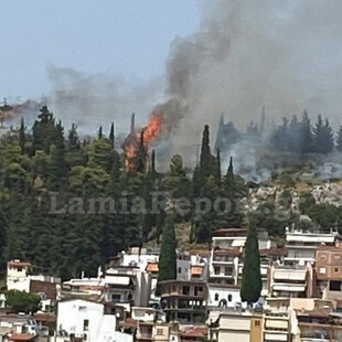 Φωτιά στη Λαμία: Κάηκαν σπίτια, εκκενώνεται τμήμα της πόλης