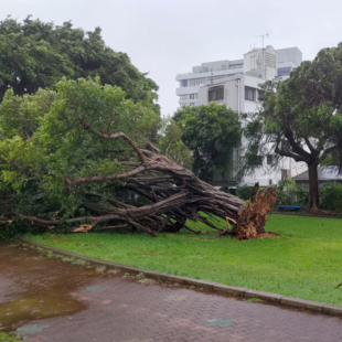 Ιαπωνία: Ο τυφώνας Χανούν «σάρωσε» την Οκινάουα- Ένας νεκρός, πάνω από 210.000 νοικοκυριά χωρίς ρεύμα
