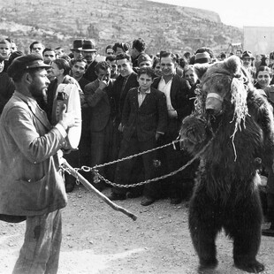 Οι Έλληνες ανέκαθεν φέρονταν στα ζώα με σκληρότητα