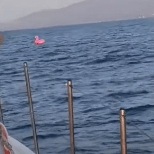 Λέσβος: Τουρίστρια σε ροζ φλαμίνγκο παρασύρθηκε στα ανοιχτά- Τη διέσωσε το λιμενικό