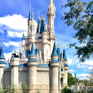 Φλόριντα: Κλείνουν τμήματα από το πάρκο Disney World λόγω του τυφώνα Idalia