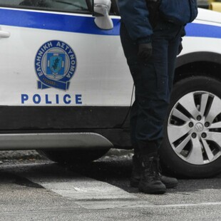 Ερμιόνη: 75χρονος πυροβόλησε και σκότωσε σκύλο
