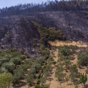 Σύλλογος Ελλήνων Αρχαιολόγων: Να αλλάξει η εφαρμοσμένη πολιτική στο φυσικό και αρχαιολογικό τοπίο