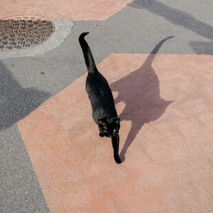 LensCulture street photography awards