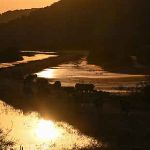 Η Κάρλα η μεγαλύτερη λίμνη της χώρας, «εκθρόνισε» την Τριχωνίδα– Η εικόνα της ομάδας «Η γεωγραφία είναι κουλ»
