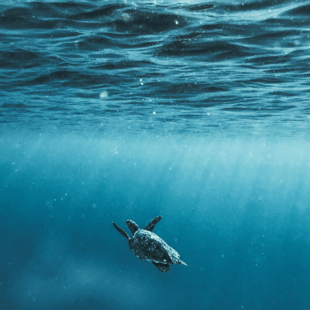 ΟΗΕ: 67 κράτη υπέγραψαν τη συνθήκη για την Ανοιχτή Θάλασσα