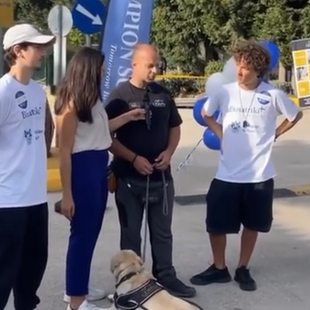 Αγώνας τυφλοι με σκύλους 